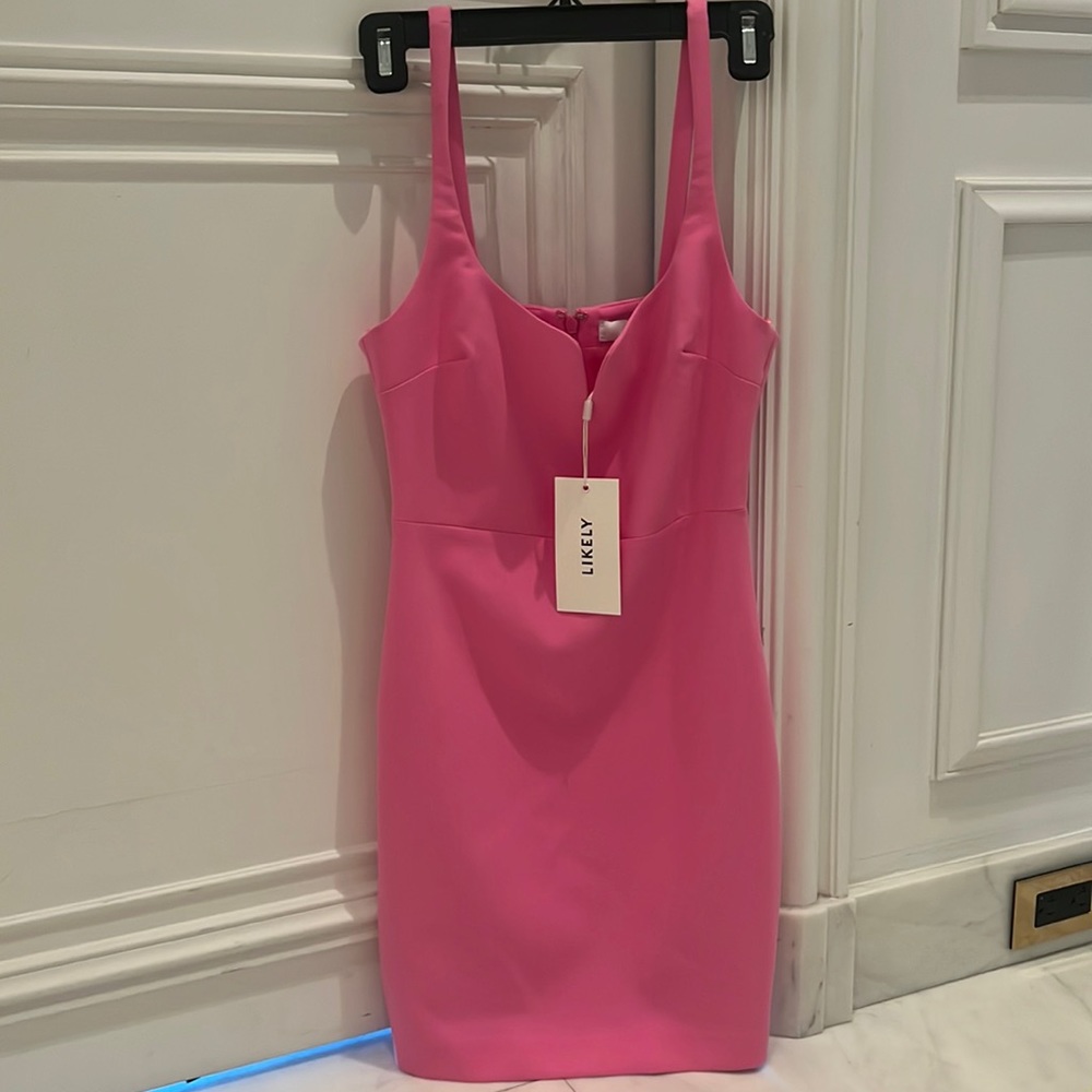 Likely pink cocktail dress. Never been worn NWT